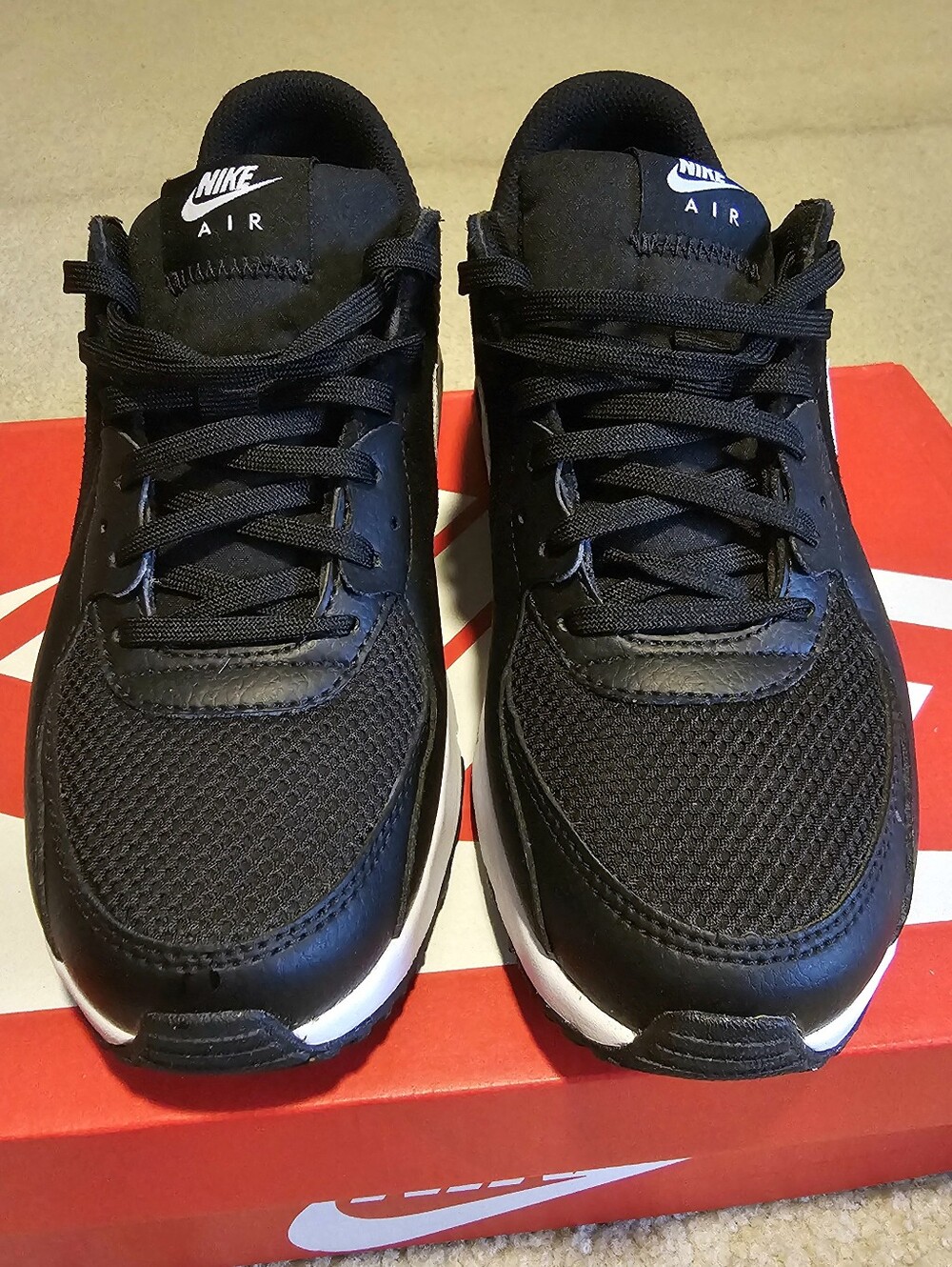 Women's Nike Air Max Sneakers